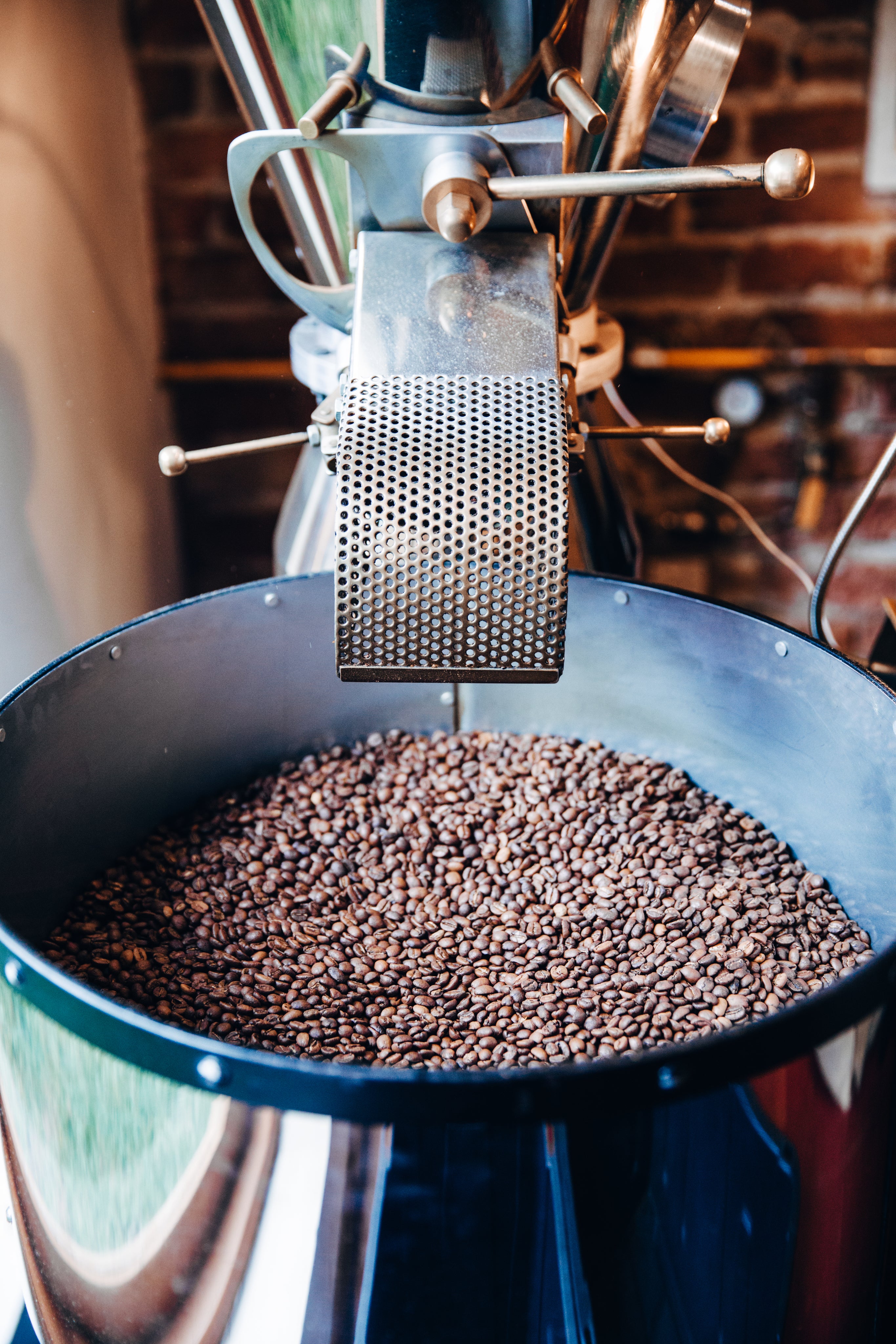 Roasted coffee beans in a silver drum